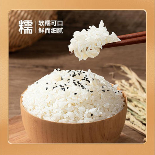 卡什塔西之乡·新疆和田墨玉县长粒香大米  多规格可选 商品图1