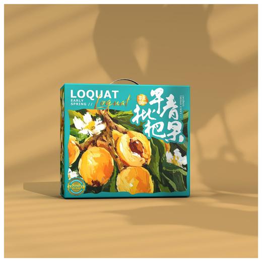 四川攀枝花米易早中枇杷 净重2.5-4.5斤装 顺丰京东直发 商品图11