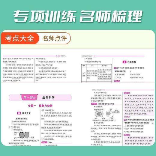 【浙江专版】2026版阳光同学小升初系统总复习人教版小学毕业升学期末冲刺专项训练 商品图2