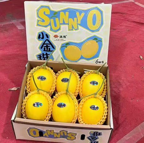 海南小金珠甜瓜（一个2斤左右）要切备注 商品图1