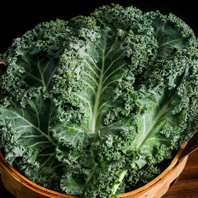 【顺丰包邮】高原阳光羽衣甘蓝 三个0羽衣甘蓝 1斤/2斤