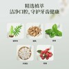 骨碎补草本护齿牙膏 商品缩略图3