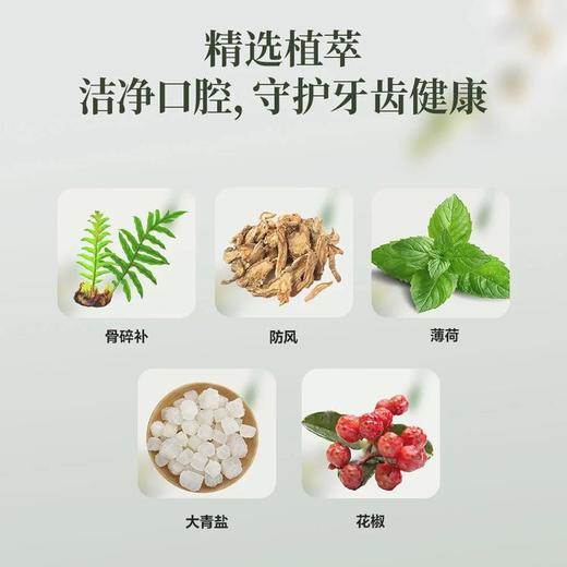 骨碎补草本护齿牙膏 商品图3