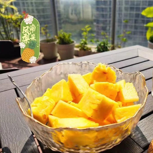 【下单后72小时发货】海南南采 金钻凤梨4.5-5斤左右 清香可口 甜而不腻 自然熟 商品图9