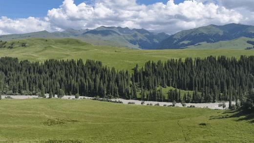 定金锁立减1000！超好评！2026【盛夏伊犁】新疆8日房车亲子营，1家1房车，资深营长带队，VIP通道进景区，赛湖私家游船+住进喀拉峻景区+那拉提与乐队共舞，全程跟拍+航拍大片，不赶路畅享绝美风景！ 商品图3