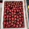 广东一级电白千禧小番茄柿子中大果 商品缩略图3