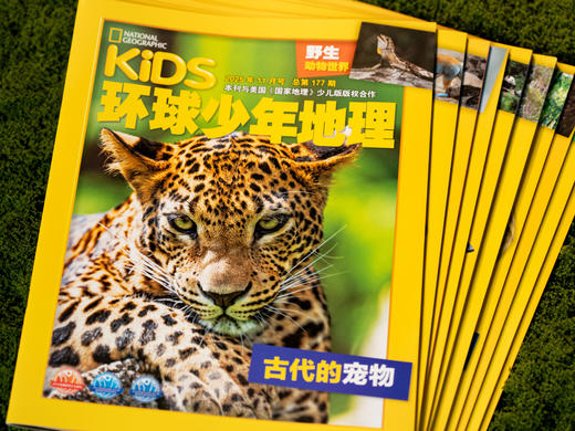 【全球500万用户】《环球少年地理KiDS》2026全年订阅，全12期|国家地理出品，内容广博、精美摄影，1000+知识点，给孩子震撼心灵的智识盛宴 商品图8