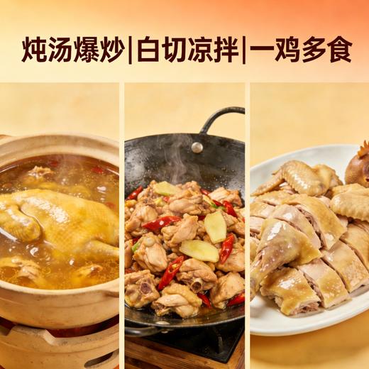 【东滩绿港】散养崇明母鸡（约12个月、净重约1.1kg左右） 商品图4