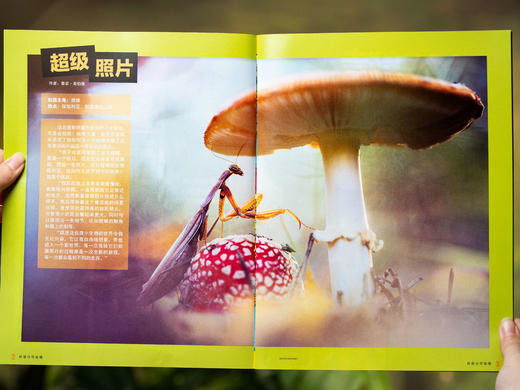 【全球500万用户】《环球少年地理KiDS》2026全年订阅，全12期|国家地理出品，内容广博、精美摄影，1000+知识点，给孩子震撼心灵的智识盛宴 商品图5