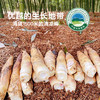 临安天目山鲜笋鲜 嫩 脆 顺丰包邮 不发隔夜笋 商品缩略图1