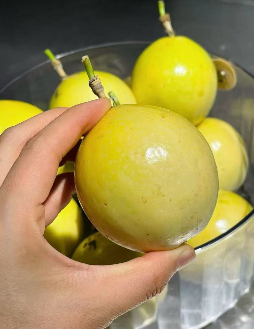 黄金百香果百香果