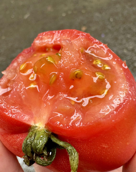 草莓野番茄 纯有机 有籽的番茄才是真正的原生态！0激素0农残，有机水肥，雄蜂授粉！ 商品图2