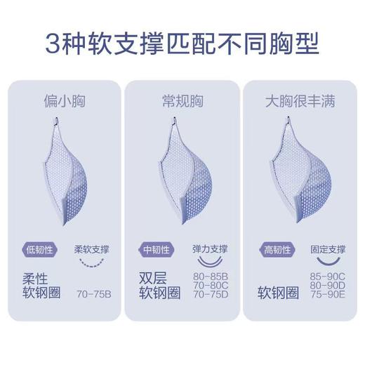 【内衣店庆提前购】【一口价】3楼安莉芳薄款蕾丝3D软支撑大胸显小文胸EBW0537吊牌价599元现价199元 商品图4