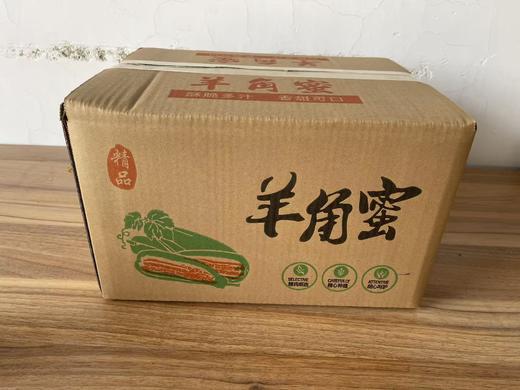 【春季头茬羊角蜜甜瓜】 脆嫩多汁甜且无渣  汁水丰盈 形似羊角 口感如蜜 商品图9