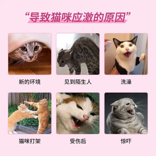 舒欣宝胶囊 猫咪情绪舒缓抗焦虑内服营养补充剂胶囊粉剂30粒/盒 商品图3