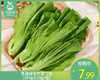 享通绿色芥菜*2包（300g±15g/包） 商品缩略图0