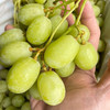 澳洲甜地球无籽青提礼盒装顺丰空运包邮从广州发货 商品缩略图3