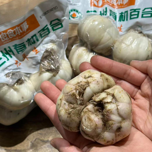 兰州有机百合（9年生）| 良食本事 商品图4