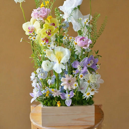 《春日来信》野趣田园系花盒，品种随机 商品图0