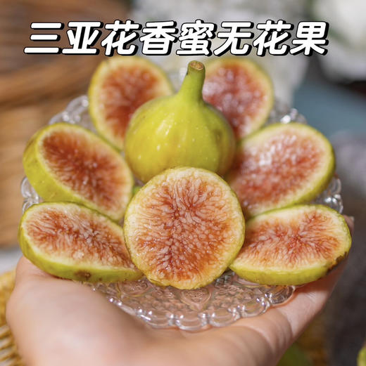 海南花香蜜无花果 商品图0
