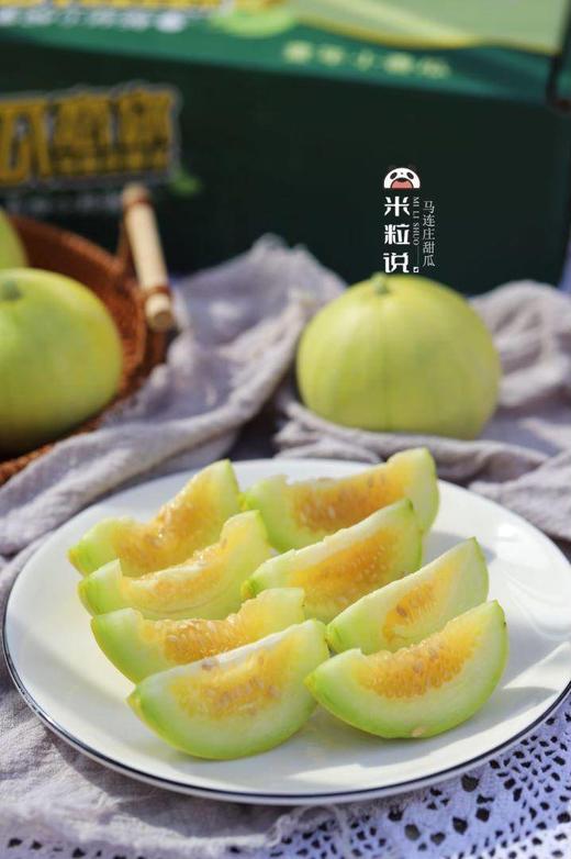 【马连庄甜瓜】酥甜到醉的瓜 带籽吃都满足 颗颗只选精品瓜 当下最清香四溢的必吃甜瓜-CC 商品图9