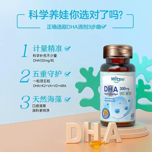 Witsbb健敏思多效复合DHA藻油胶囊60粒/瓶 商品图1