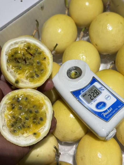 黄金百香果百香果 商品图3