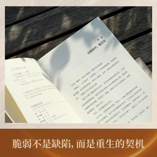 你的脆弱很正常 心灵作家索达吉2026年全新重磅力作疗愈实操的书 告别焦虑停止内耗脆弱不是缺陷而是重生的契机 商品图6