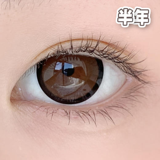 #Cutie 奶猪猪 巧棕色【1片装】敏感眼舒适推荐 / 14.5mm半年抛 商品图0