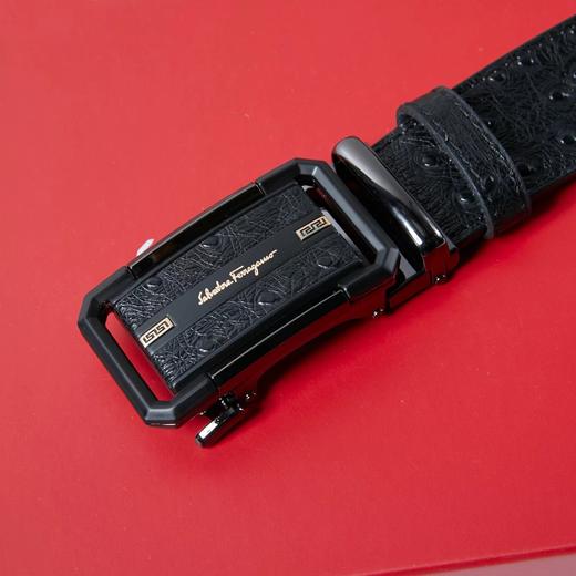 F030191可商务可休闲镶皮款镂空皮带男士腰带 商品图3