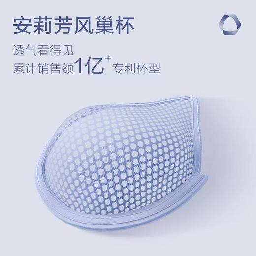 【内衣店庆提前购】【一口价】3楼安莉芳薄款蕾丝3D软支撑大胸显小文胸EBW0537吊牌价599元现价199元 商品图1