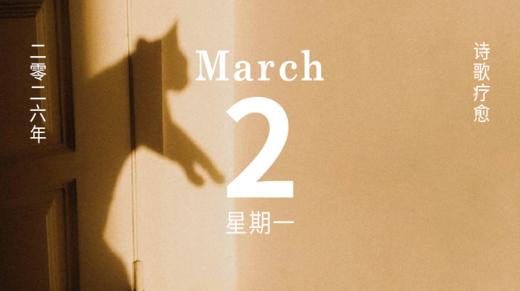 遇见一只不完美的小猫 商品图0