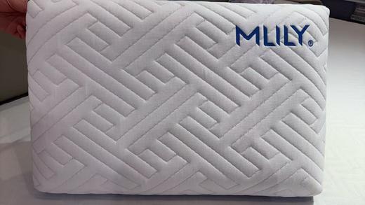 【春上新】10楼 梦百合逐梦万里0压呵护枕   零售价799元/只  活动价399元/只 商品图2