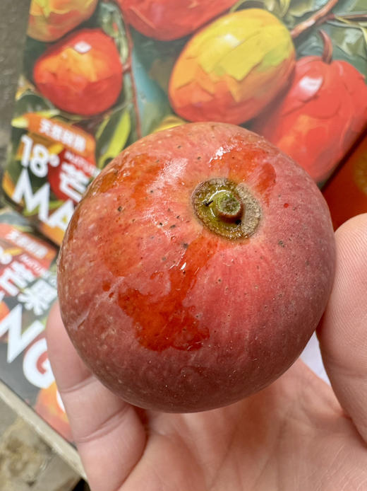 ＃特级贵妃芒＃出口级，真正树上熟，不泡药，不催熟，无公害认证，细腻，香甜，多汁，不拉丝，不卡牙 商品图7