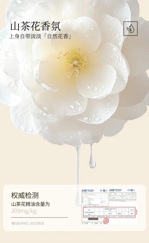 F030135粉底液内衣舒适V领蕾丝花边内衣文胸 商品图14