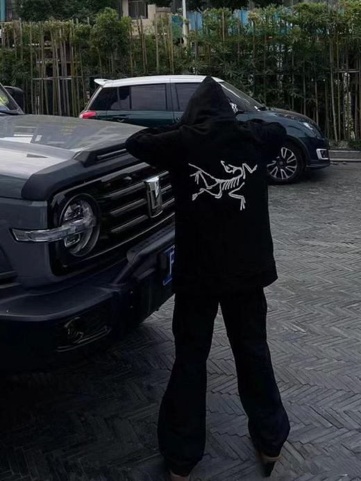 F030119春季款印花前面小LOGO后背大logo纯棉连帽卫衣 商品图2