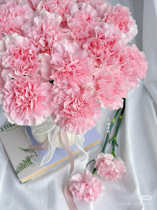 【2026.3.27】特价：1扎20枝A级樱花粉康乃馨25.9（现货 下单即可到店自提） 商品图6