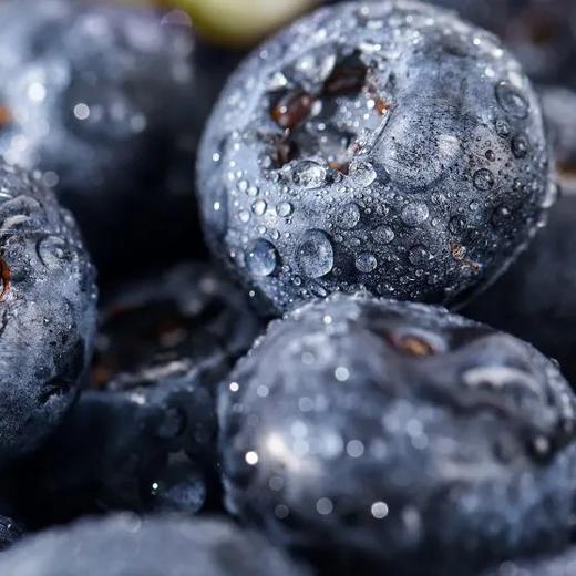 云南怡颗莓L25蓝莓 商品图2