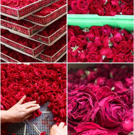 养颜花茶系列：墨红玫瑰花茶/东方金花茶，三级分拣，先进冻干，定格花香花味，美容养颜，日常熬夜党，爱美的小姐姐必入款！ 商品图7