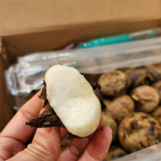 荔浦现挖马蹄  削皮即食也可做菜，脆甜可口，果汁化渣。 商品图4