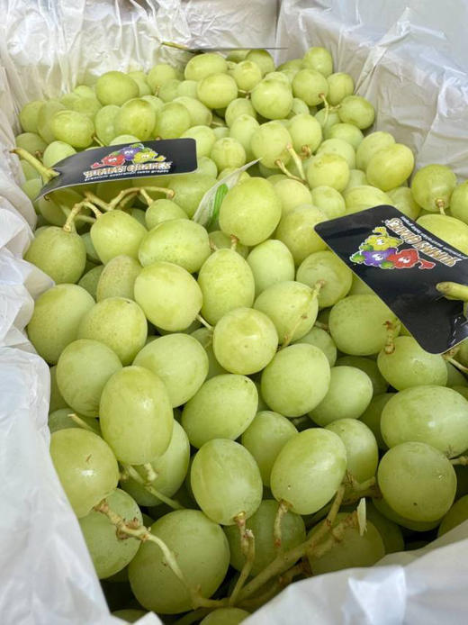 ＃同城最佳，如果顺丰外地会有几颗掉粒介意慎拍＃超脆甜！澳洲甜地球，无籽，果子硬朗，皮薄爆汁儿，水冲冲一颗接一颗，好爽，孩子超爱。 商品图5