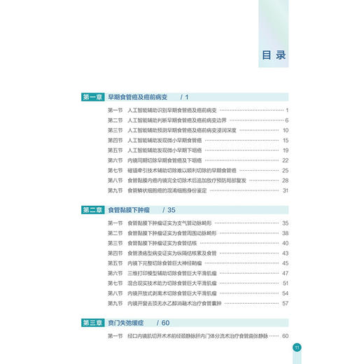消化内镜人工智能及创新诊疗技术精解——食管篇 胡兵 叶连松 袁湘蕾 系统介绍食管疾病先进内镜微创诊疗技术的专著人民卫生出版社 商品图3