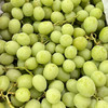 澳洲甜地球无籽青提礼盒装顺丰空运包邮从广州发货 商品缩略图4