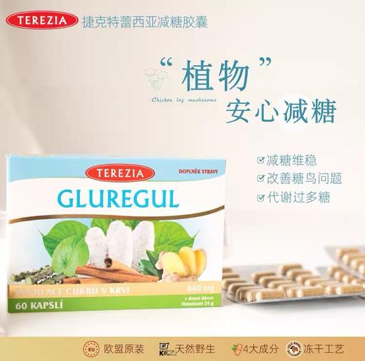 天燃植物稳定皿糖抗唐化！捷克植物亢唐糖尿变胶囊60粒 商品图0