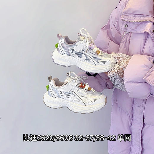 比迪2620/5606 商品图0