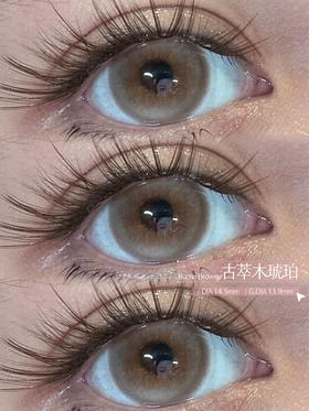 Kira fairy日抛美瞳 古萃木琥珀 14.5mm