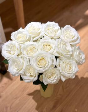 白色单头玫瑰20枝