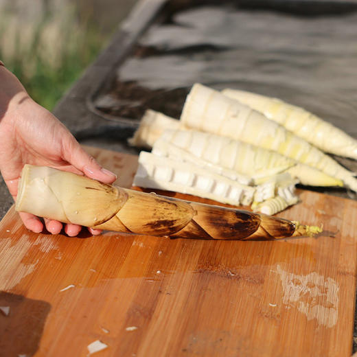 临安春笋【29元购】每日现挖 肉质细腻，鲜香脆嫩，营养丰富~ 商品图2