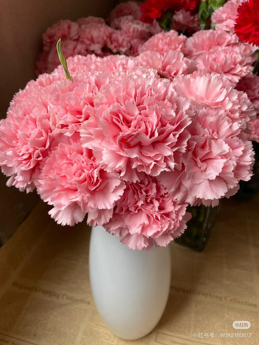 【2026.3.27】特价：1扎20枝A级粉钻康乃馨19.9（现货 下单即可到店自提） 商品图5