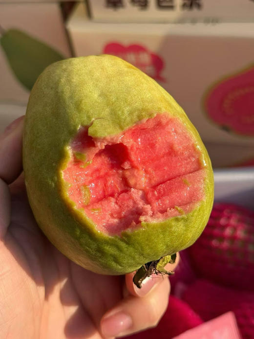 草莓红心奶油芭乐 商品图3